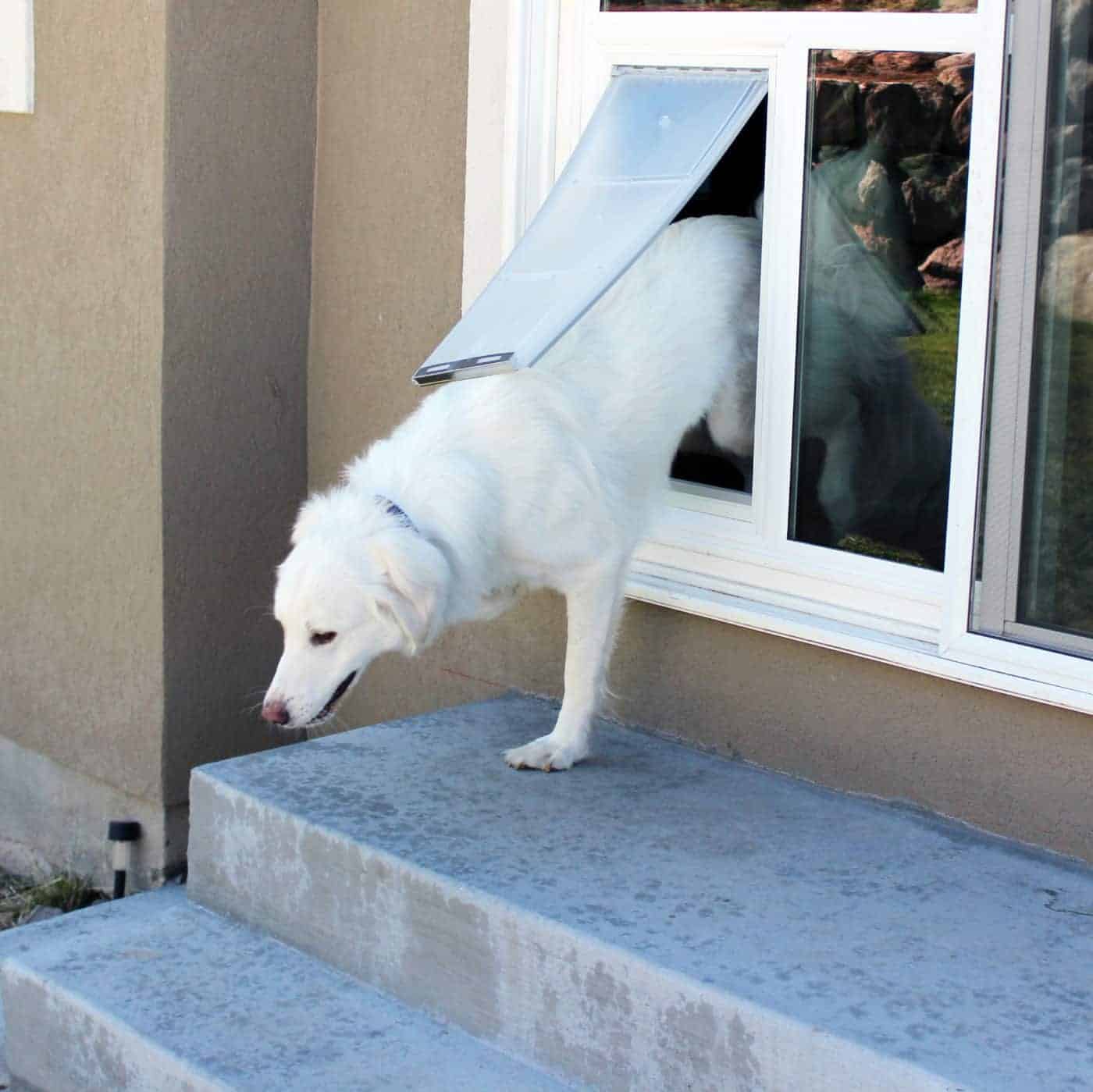 Dog Door for Slider - French Door with Dog Door - Sliding Glass Dog ...