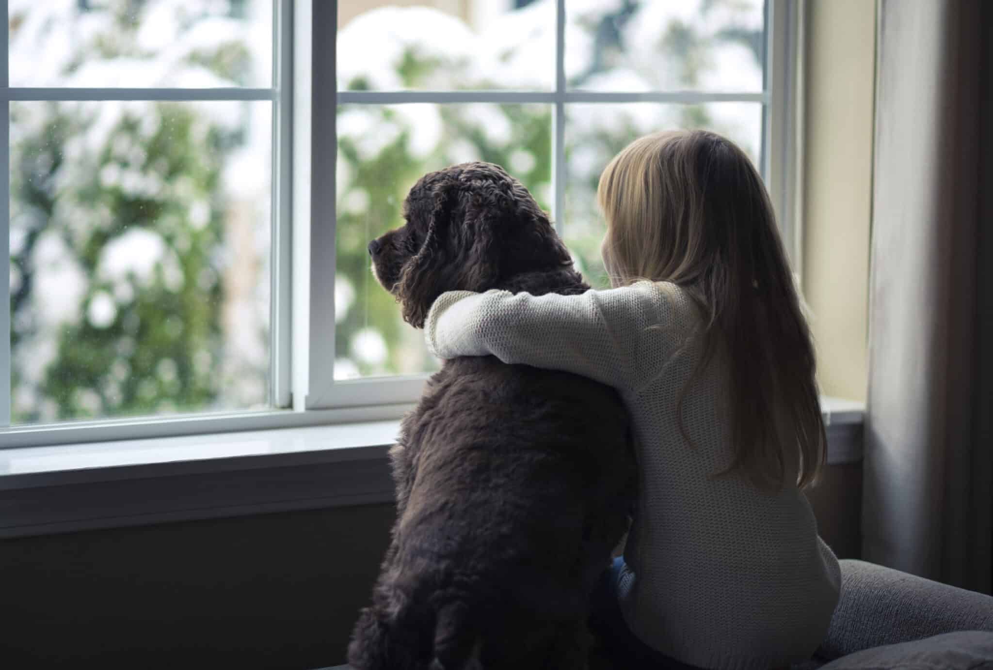 A girl sits on a couch with a dog, admiring the view through energy-efficient windows.