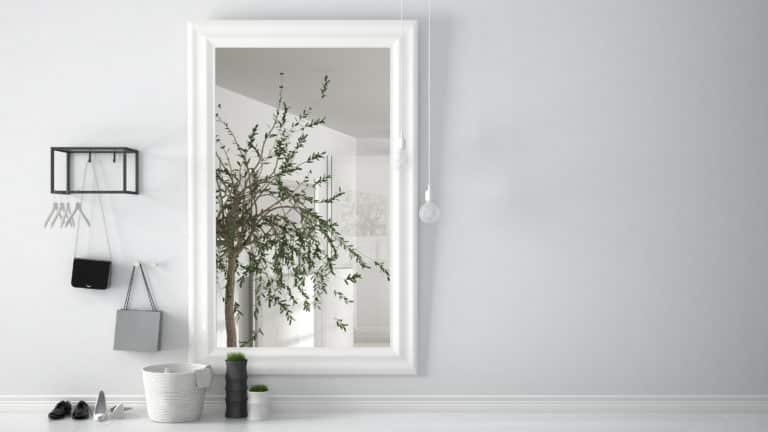 A custom white mirror in a room with a potted plant.