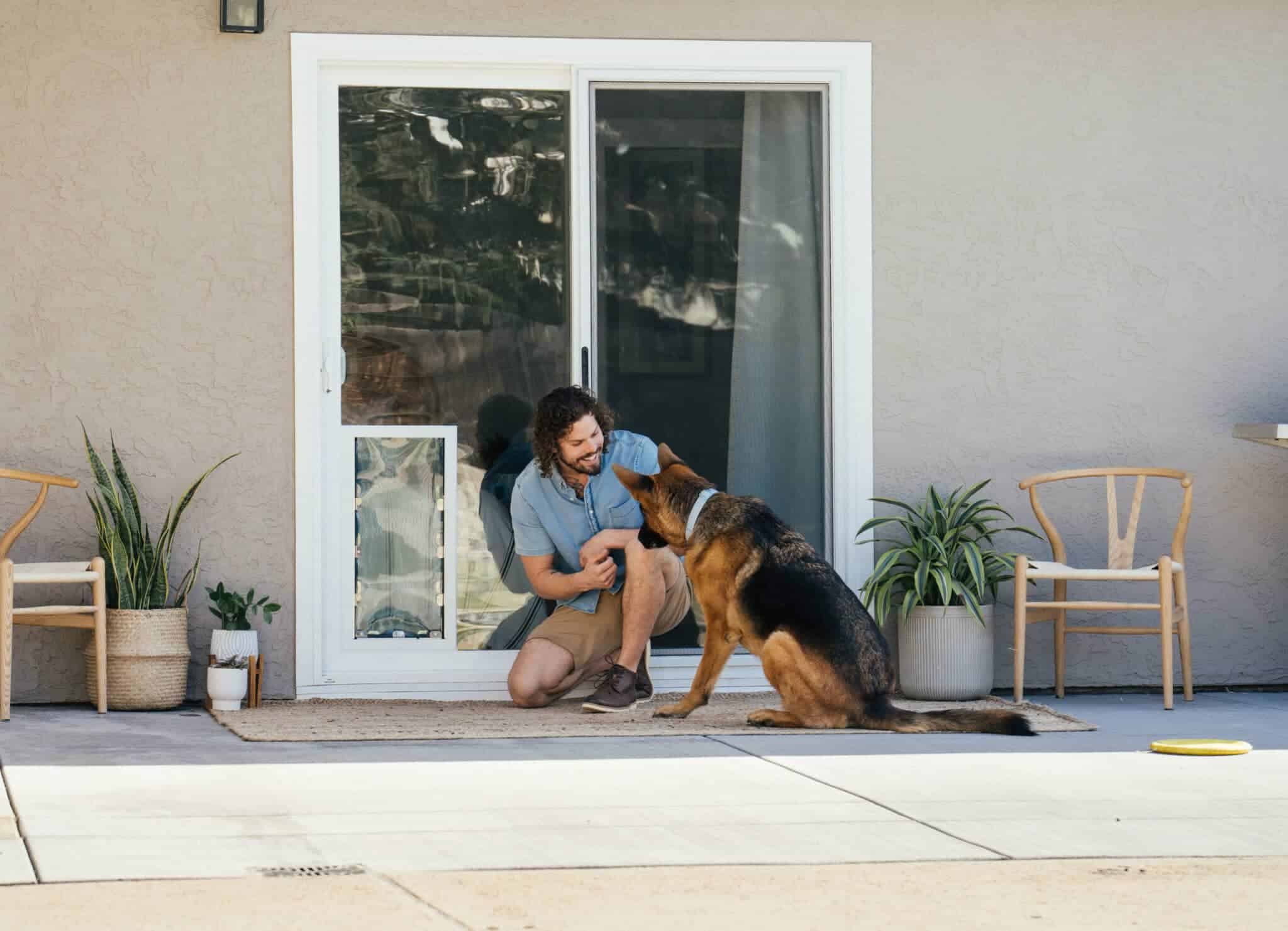 In-Glass Pet Doors by The Glass Guru, Top Rated Glass Company