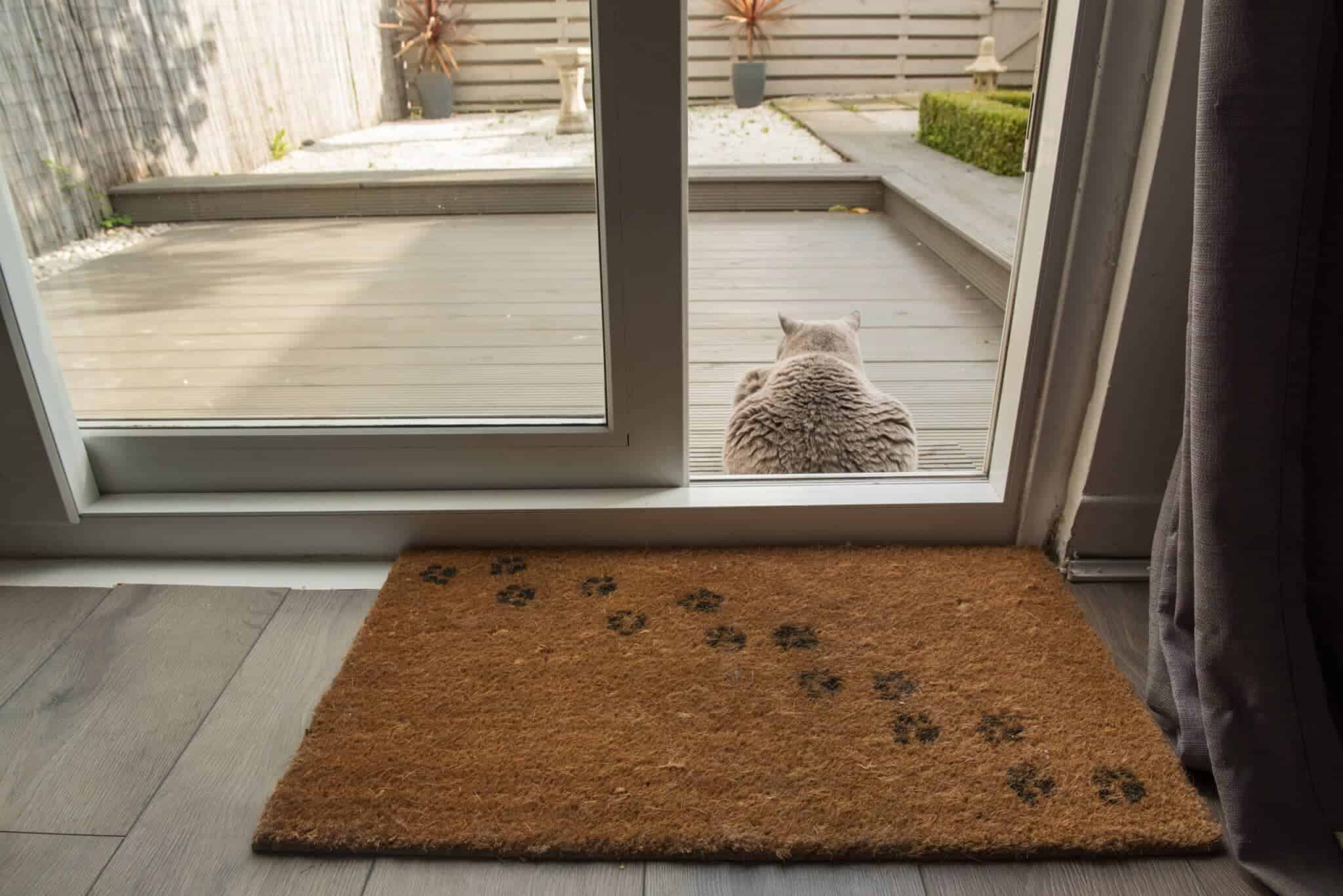 In-Screen Pet Doors by The Glass Guru, Top Rated Glass Company