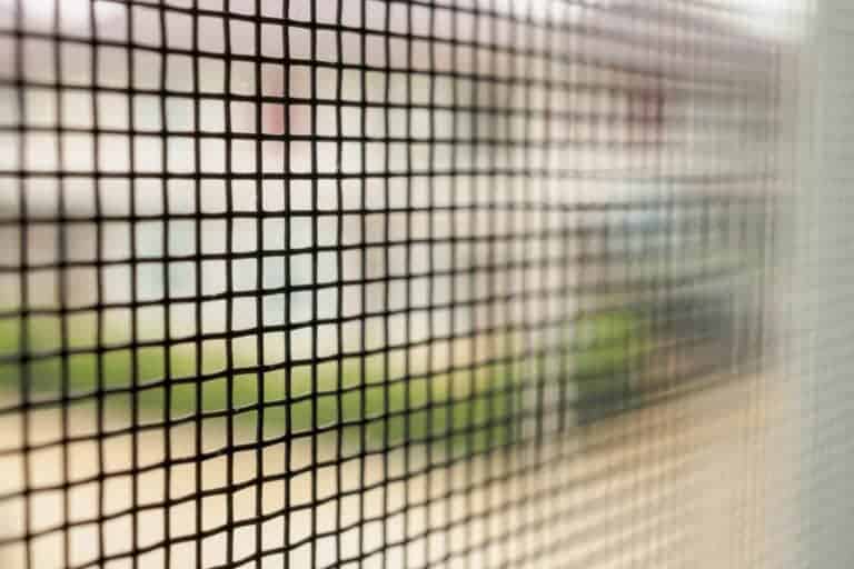 Window Screens by The Glass Guru, Top Rated Glass Company